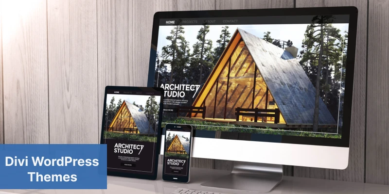 Top 10 Best Divi WordPress Theme and Layouts for 2024